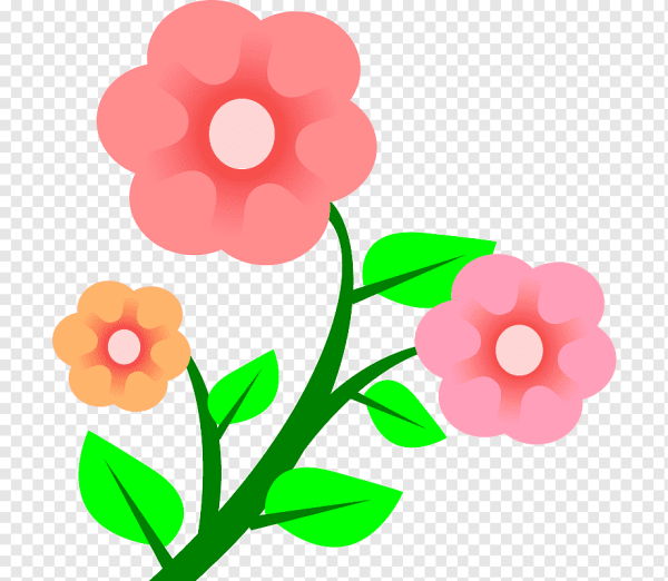 Цветы вектор