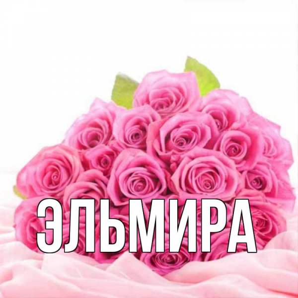 Цветок Эльмира