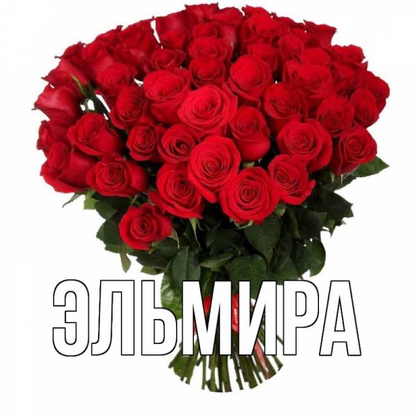 Поздравления с днём рождения Ильмире