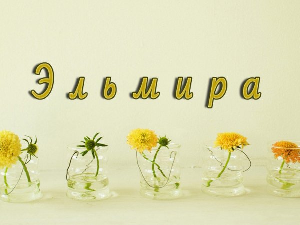 С днём рождения Эльмира
