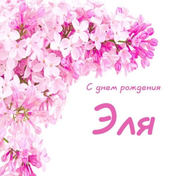 Эльмира надпись