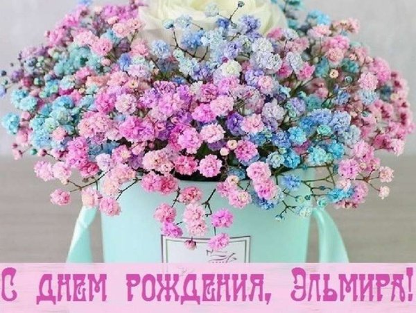 Имя Эльмира
