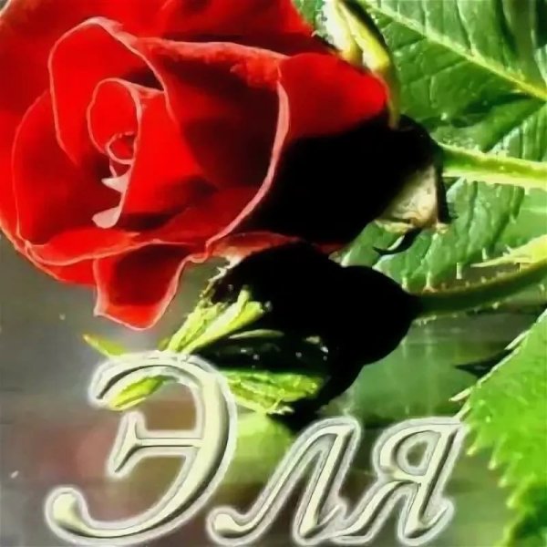 Поздравления с днем рождения Эльмира