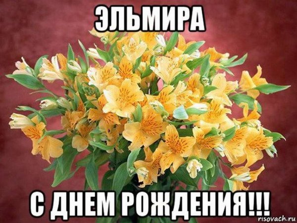 Надпись с именем Эльмира