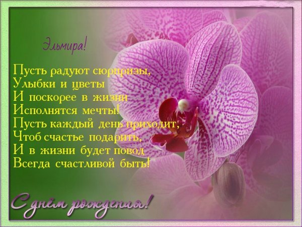 Эльмир с днем рождения