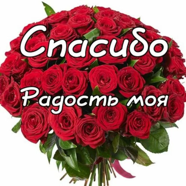 Розы для доченьки