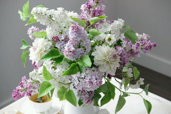 Сирень в корзине Кончаловский