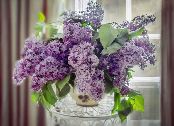 Букет сирени
