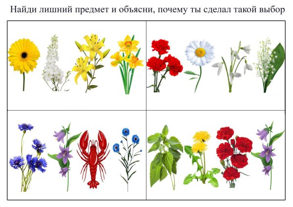 Четвертый лишний цветы для дошкольников