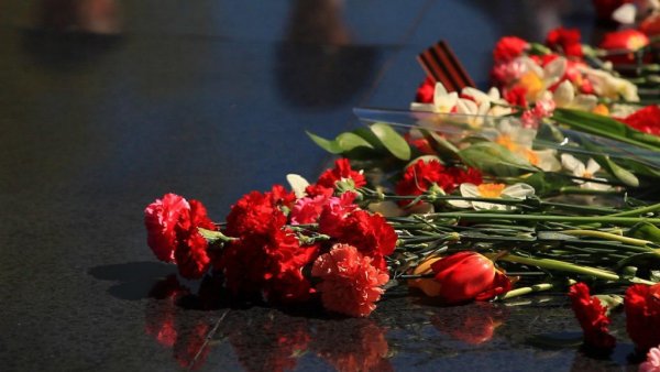 Цветок день Победы