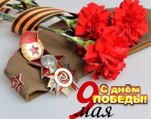 Гвоздики 9 мая