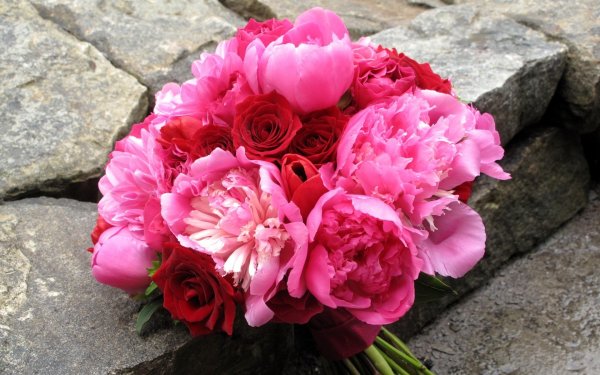 Пион букет розовых гвоздик