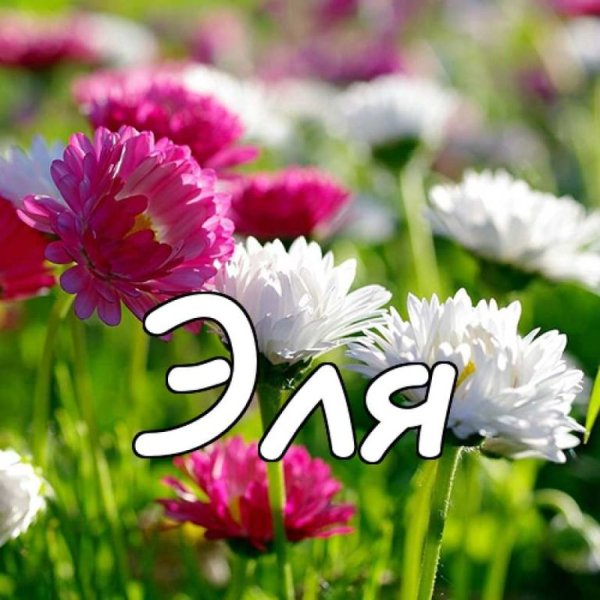 Цветы для Яночки