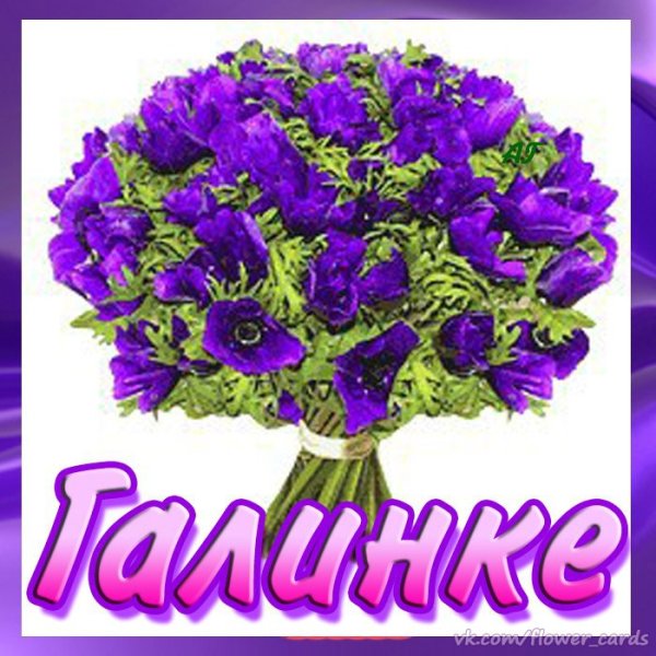 Евгении шикарные цветы