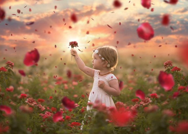 Природа Вдохновение