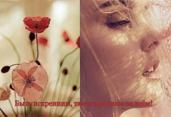 Нежные цветы Весна