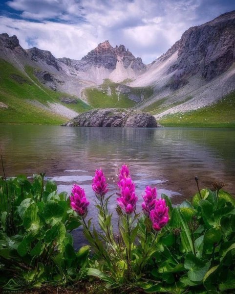 Пейзажи с цветами