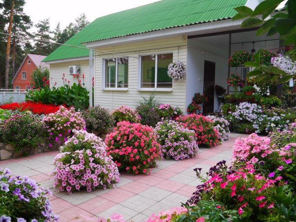 Миксбордер у крыльца