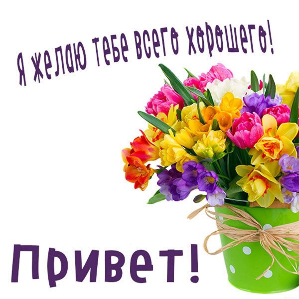 Открытки привет красавица