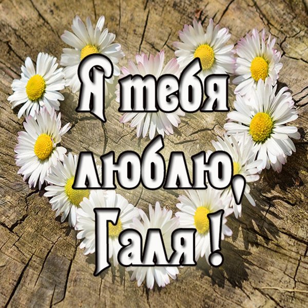 Дашуля я тебя люблю