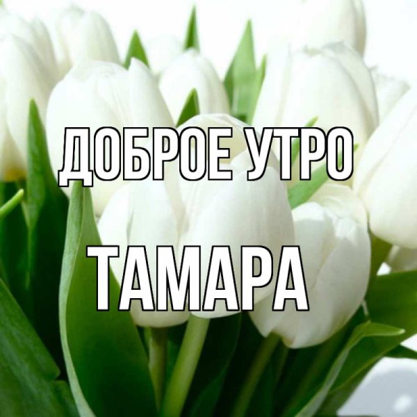 Доброе утро Галина
