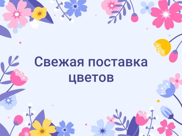 У нас новое поступление