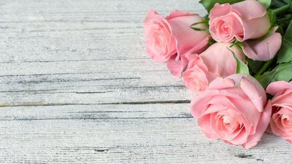 Розовые розы фон