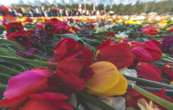 Гвоздики с георгиевской лентой