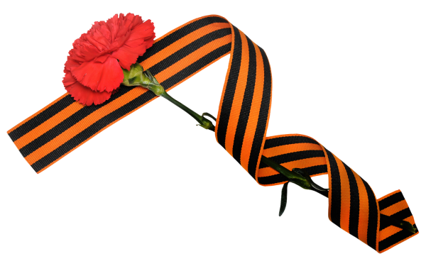 Цветы на 9 мая