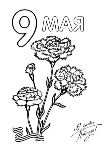 Цветы к 9 мая раскраска
