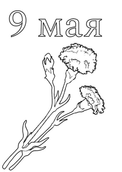 Рисунок на 9 мая