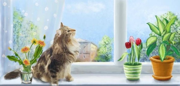Кошка на окошке для детей