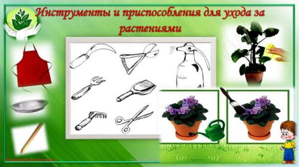 Инструменты и приспособления для ухода за комнатными растениями.