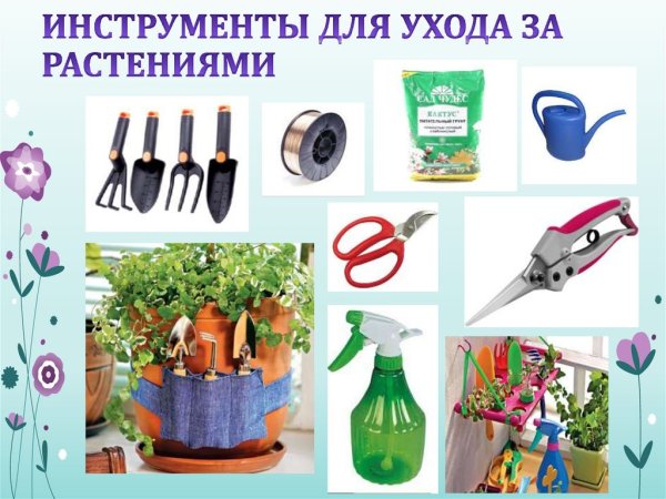 Инструменты для ухода за комнатными цветами