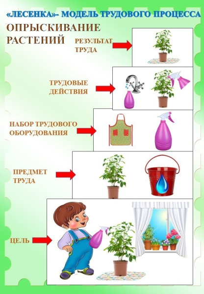 Схема полива комнатных растений