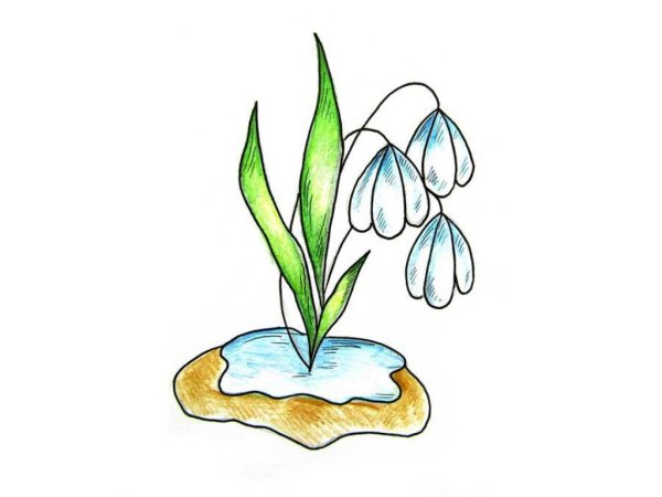 Подснежники рисунок