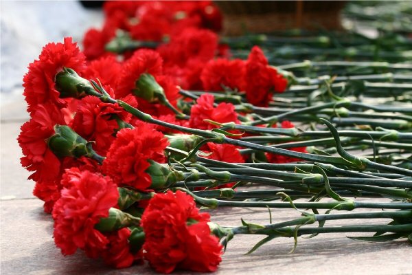 Гвоздики с георгиевской лентой