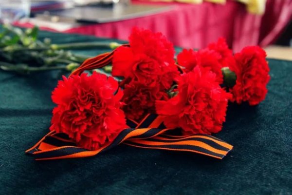 Гвоздики с георгиевской лентой