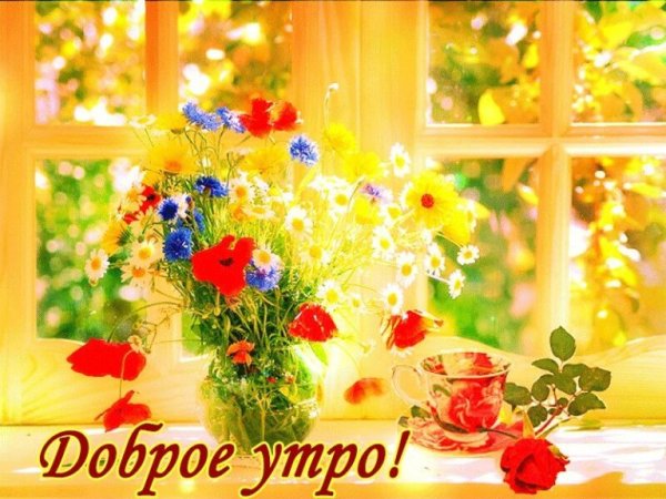 Чудесного дня и отличного настроения цветы