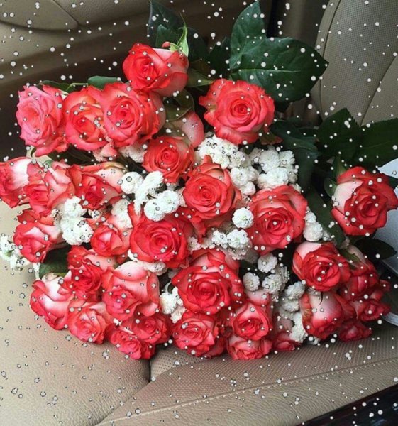 Живые букеты