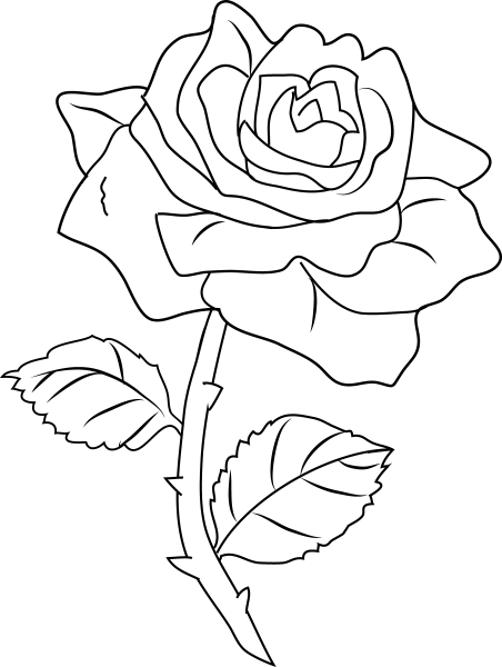Книжка-раскраска для детей, цветок роза