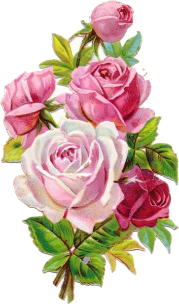 Рисунки цветов цветные