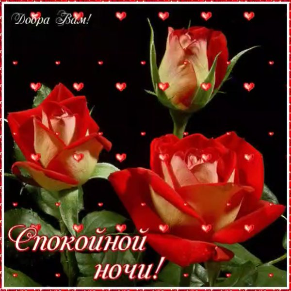 Спокойной ночи с цветами