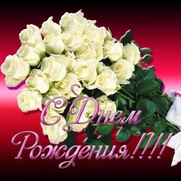 С днём рождения девушке красивые пионы