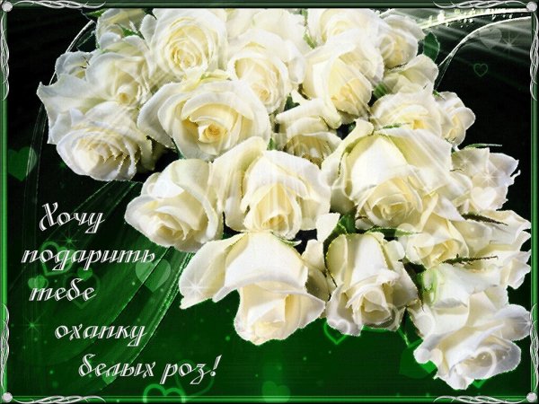 Открытка с днём рождения с кошечкой