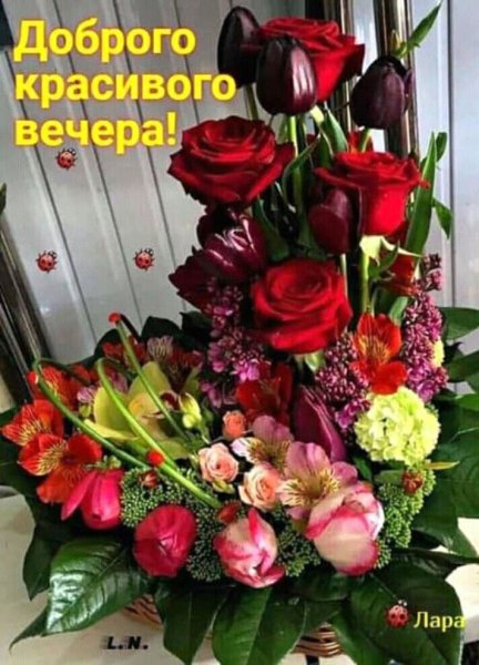 Красивые букеты спокойной ночи
