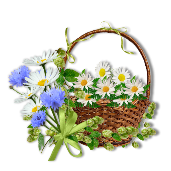 Корзина с полевыми цветами