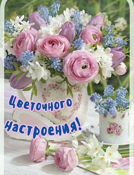 Открытки с белыми цветами