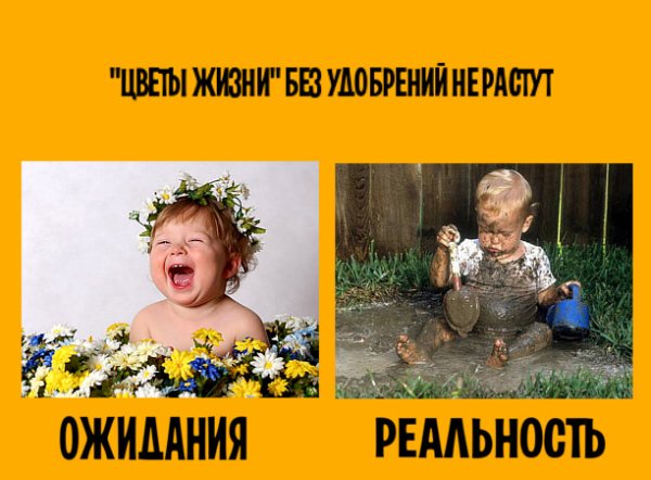 Дети цветы жизни юмор