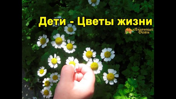 Дети цветы жизни надпись